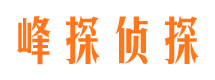 东海岛婚外情调查取证